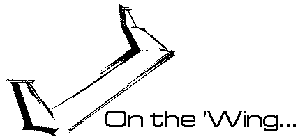 On the wing logo